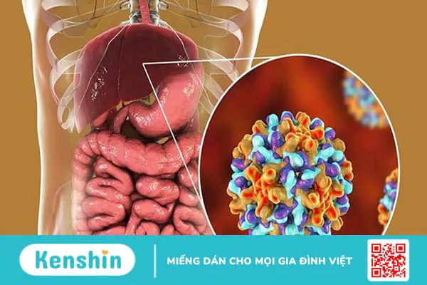 11 nguyên nhân suy gan cấp bạn không nên bỏ qua