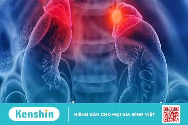 11 nguyên nhân tụt huyết áp thường gặp, bạn không nên chủ quan