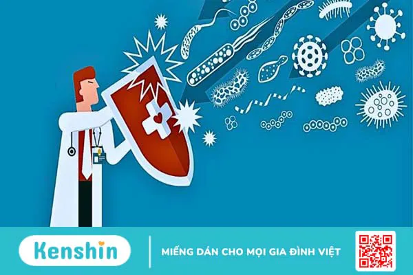 11 tác dụng của nấm lim xanh tốt cho sức khỏe và cách dùng an toàn