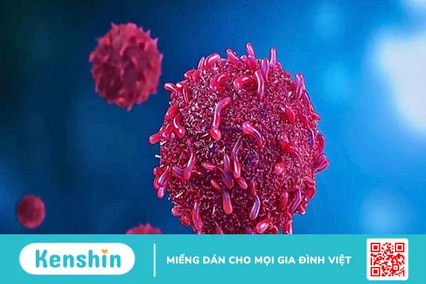 11 tác dụng của nấm lim xanh tốt cho sức khỏe và cách dùng an toàn