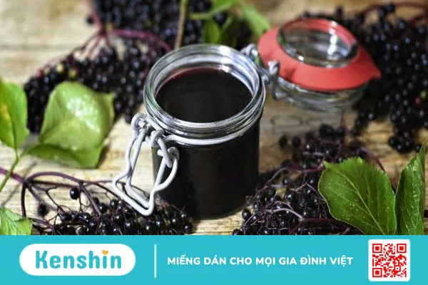 11 tác dụng của quả cơm cháy đối với sức khỏe bạn cần biết