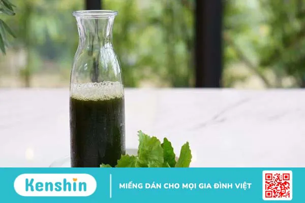 11 tác dụng của rau má bạn không nên bỏ qua