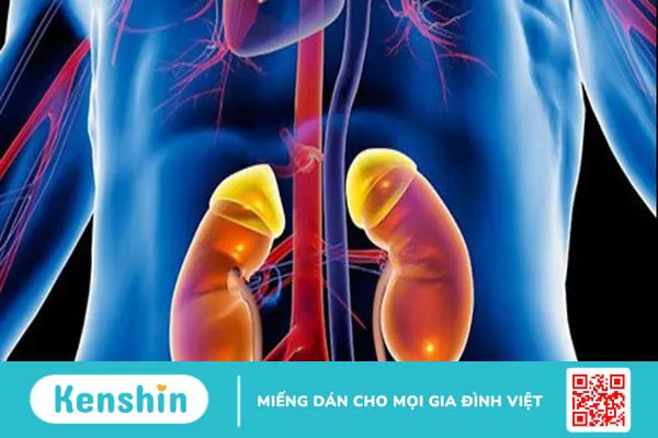 11 tác dụng phụ của aspirin và lưu ý khi sử dụng thuốc an toàn