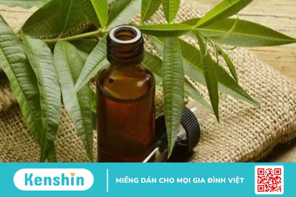 12 cách dùng nha đam (lô hội) trị mụn, đắp mặt hiệu quả tại nhà