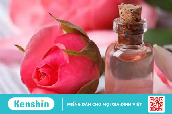 12 cách dùng nha đam (lô hội) trị mụn, đắp mặt hiệu quả tại nhà