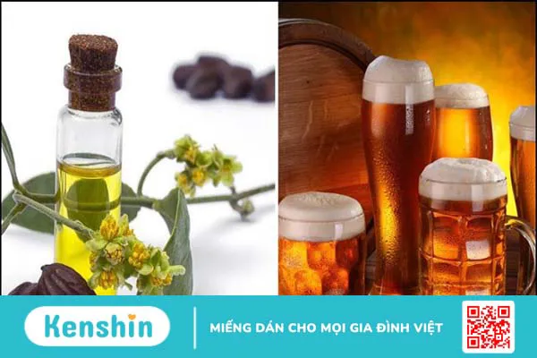 12 Cách gội đầu bằng bia giúp trị gàu, tóc dày, suôn mượt, giảm hư tổn