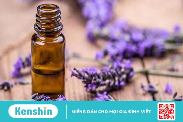 12 cách làm lông mày mọc nhanh đơn giản ngay tại nhà chị em không nên bỏ qua