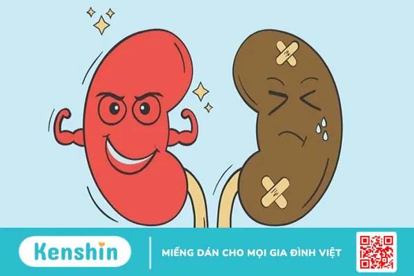 12 dấu hiệu cảnh báo bệnh thận và các thực phẩm nên ăn