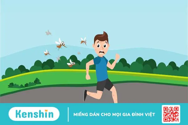 12 loại côn trùng gây bệnh có hại cho người và biện pháp phòng ngừa