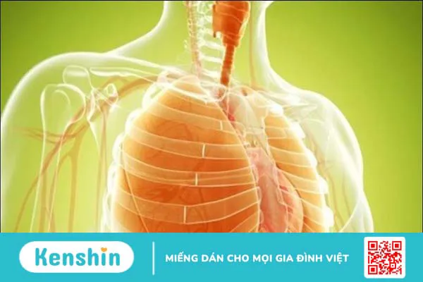 12 tác dụng của đông trùng hạ thảo ngâm mật ong, cách dùng và lưu ý