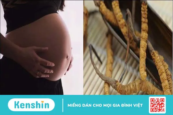 12 tác dụng của đông trùng hạ thảo ngâm mật ong, cách dùng và lưu ý