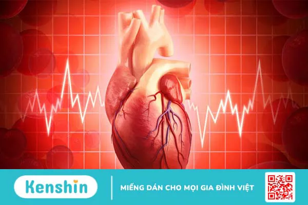 12 tác dụng của lá húng chanh, tác dụng phụ, cách dùng và lưu ý cần biết