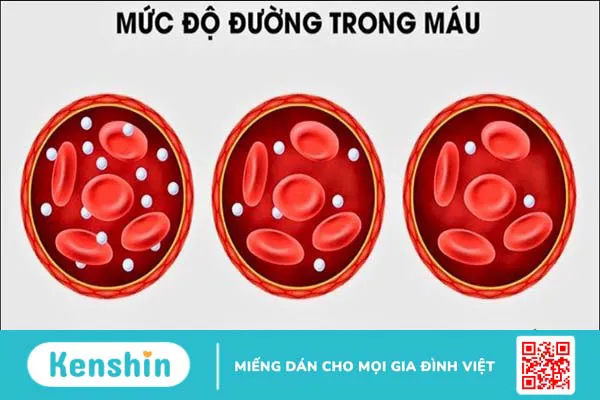 12 tác dụng của tinh dầu sả đối với sức khỏe bạn cần biết