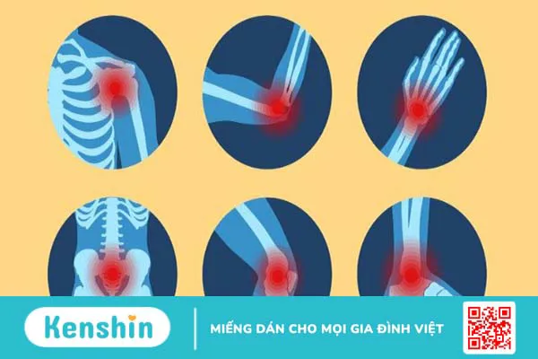 12 tác dụng của Xuyên tâm liên đối với sức khỏe bạn cần biết