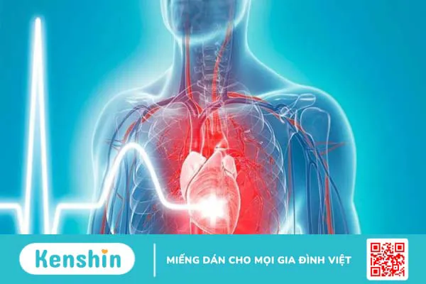 12 tác dụng của Xuyên tâm liên đối với sức khỏe bạn cần biết