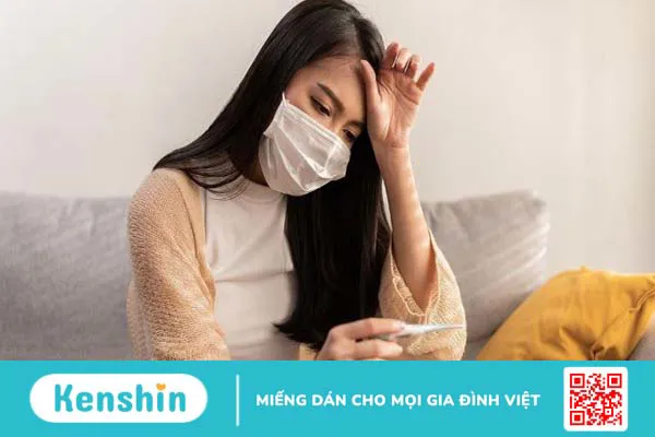 12 tác dụng của Xuyên tâm liên đối với sức khỏe bạn cần biết