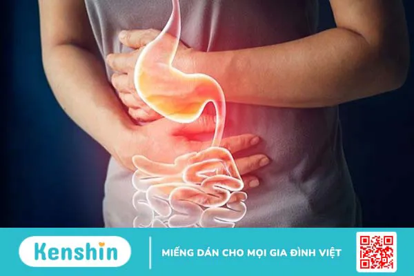 12 tác dụng của Xuyên tâm liên đối với sức khỏe bạn cần biết