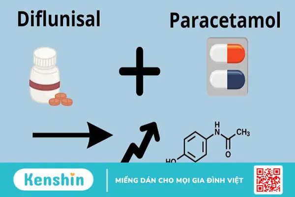 12 tương tác thuốc paracetamol và các lưu ý tránh ngộ độc khi sử dụng