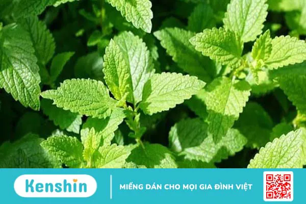 13 cách chữa viêm họng tại nhà từ những nguyên liệu dễ làm