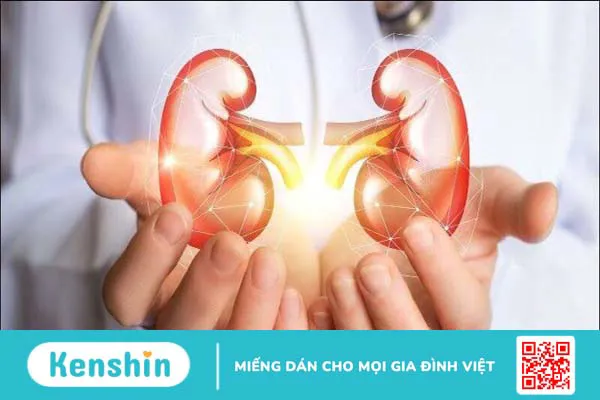 13 tác dụng của tảo xoắn Nhật Bản có thể bạn chưa biết