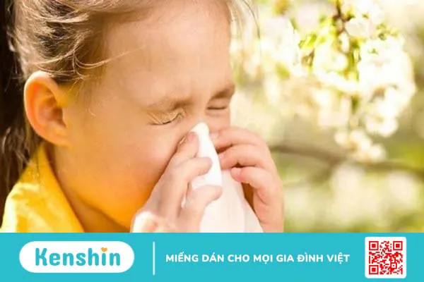 13 tác dụng của tảo xoắn Nhật Bản có thể bạn chưa biết