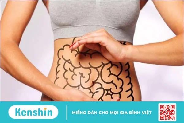 13 tác dụng của tảo xoắn Nhật Bản có thể bạn chưa biết