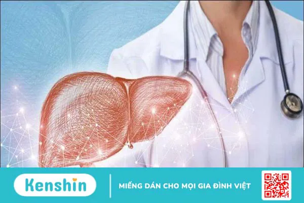 13 tác dụng của tảo xoắn Nhật Bản có thể bạn chưa biết