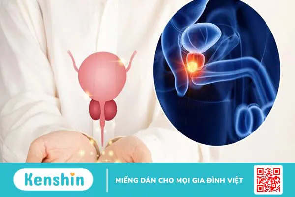 13 tác dụng phụ của dầu cá và lưu ý khi sử dụng