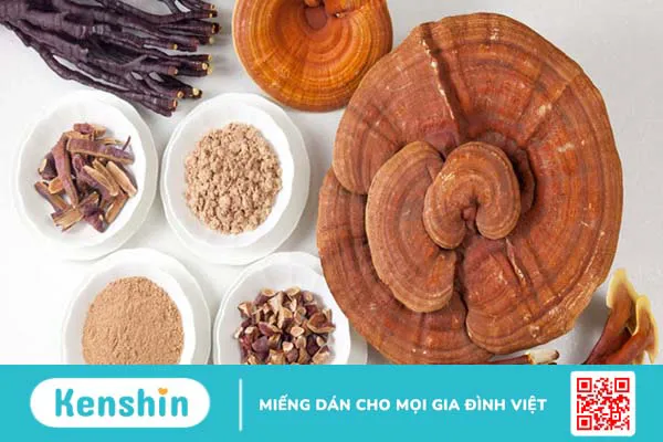 14 bài thuốc từ nấm linh chi hỗ trợ trị bệnh tại nhà hiệu quả