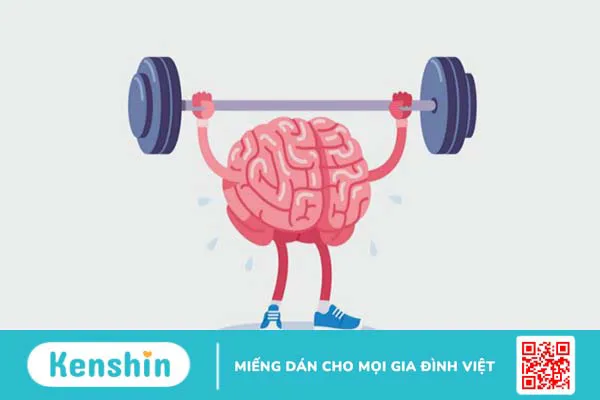 14 bài thuốc từ nấm linh chi hỗ trợ trị bệnh tại nhà hiệu quả