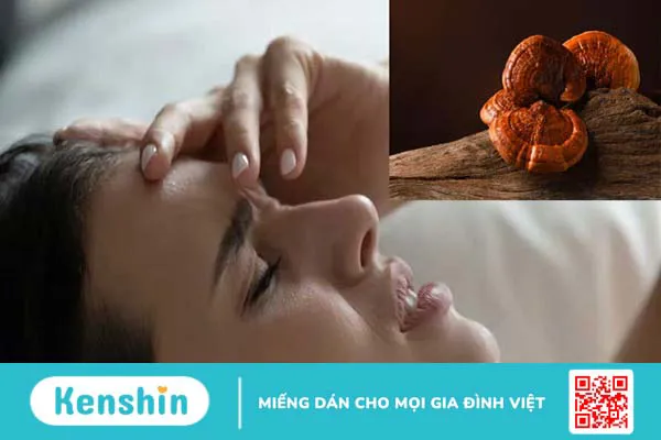 14 bài thuốc từ nấm linh chi hỗ trợ trị bệnh tại nhà hiệu quả