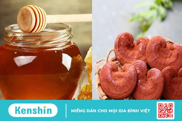 14 bài thuốc từ nấm linh chi hỗ trợ trị bệnh tại nhà hiệu quả