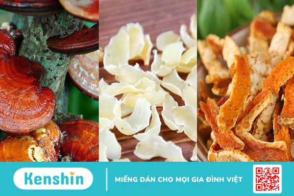 14 bài thuốc từ nấm linh chi hỗ trợ trị bệnh tại nhà hiệu quả