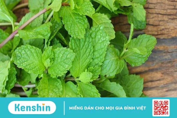 14 cách trị mụn lưng tại nhà tự nhiên, không gây thâm mụn