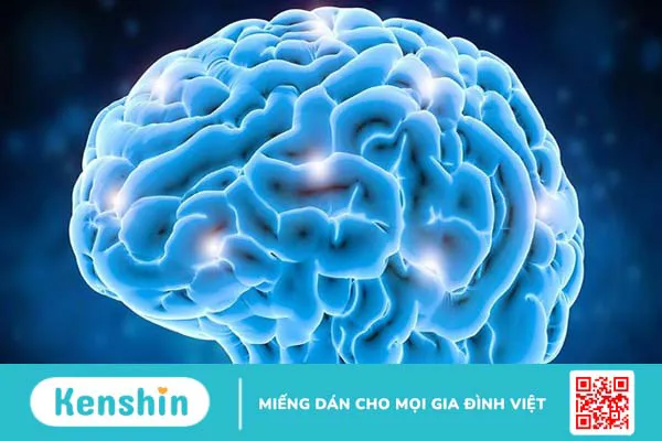 14 công dụng của hạt mắc ca đối với sức khỏe bạn không nên bỏ qua