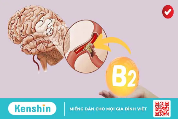 14 lợi ích của vitamin B2 đối với sức khỏe có thể bạn chưa biết