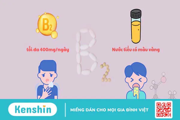 14 lợi ích của vitamin B2 đối với sức khỏe có thể bạn chưa biết