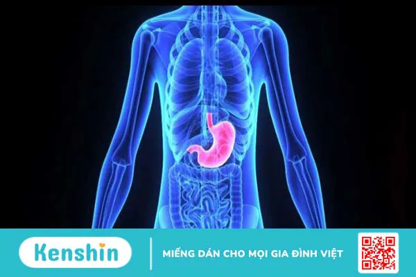 14 tác hại của béo phì đối với cơ thể bạn cần biết