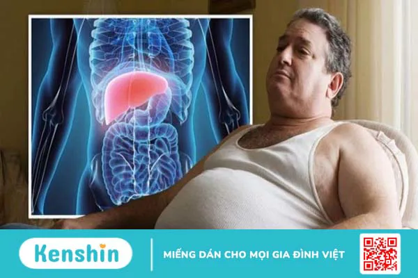 14 tác hại của béo phì đối với cơ thể bạn cần biết