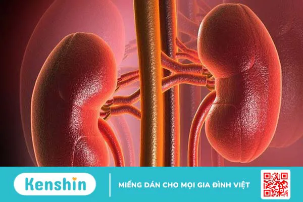 14 tác hại của béo phì đối với cơ thể bạn cần biết