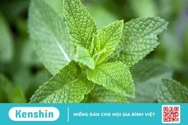 15 cách giảm đau dạ dày tại nhà đơn giản, hiệu quả