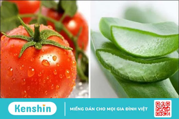 15 cách làm mặt nạ nha đam dưỡng da, trị mụn, sáng da, mờ thâm