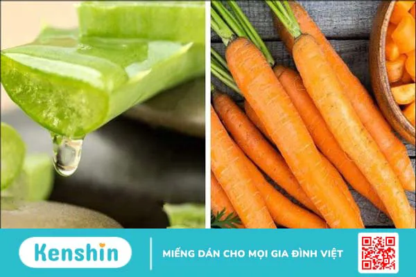 15 cách làm mặt nạ nha đam dưỡng da, trị mụn, sáng da, mờ thâm