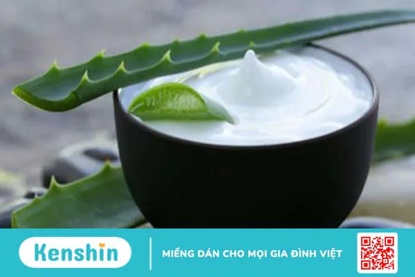 15 cách làm mặt nạ nha đam dưỡng da, trị mụn, sáng da, mờ thâm