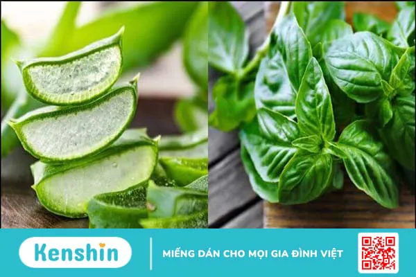 15 cách làm mặt nạ nha đam dưỡng da, trị mụn, sáng da, mờ thâm