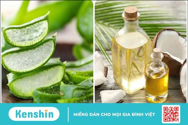 15 cách làm mặt nạ nha đam dưỡng da, trị mụn, sáng da, mờ thâm