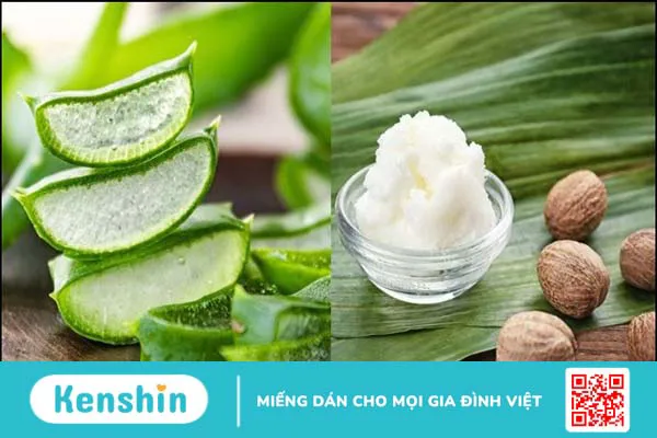 15 cách làm mặt nạ nha đam dưỡng da, trị mụn, sáng da, mờ thâm