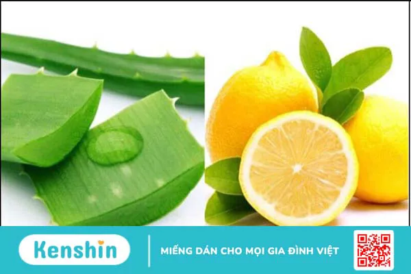 15 cách làm mặt nạ nha đam dưỡng da, trị mụn, sáng da, mờ thâm