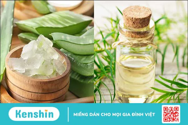 15 cách làm mặt nạ nha đam dưỡng da, trị mụn, sáng da, mờ thâm