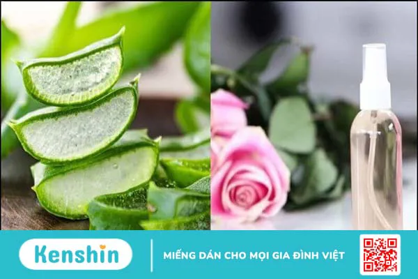 15 cách làm mặt nạ nha đam dưỡng da, trị mụn, sáng da, mờ thâm